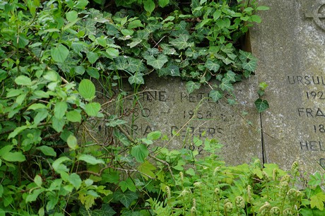 Bad Godesberg